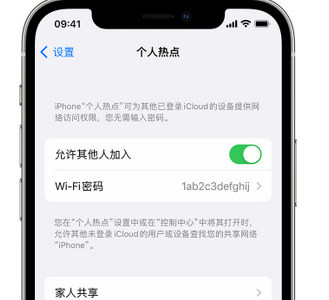 宛城apple服务站点分享iPhone上个人热点丢失了怎么办 