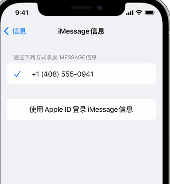 宛城apple维修iPhone上无法正常发送iMessage信息