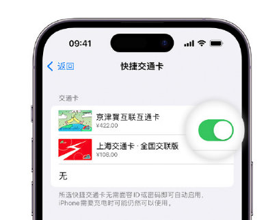 宛城apple维修点分享iPhone上更换Apple Pay快捷交通卡手绘卡面 