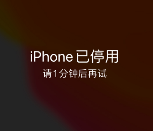 宛城苹果手机维修分享:iPhone 显示“不可用”或“已停用”怎么办？还能保留数据吗？ 