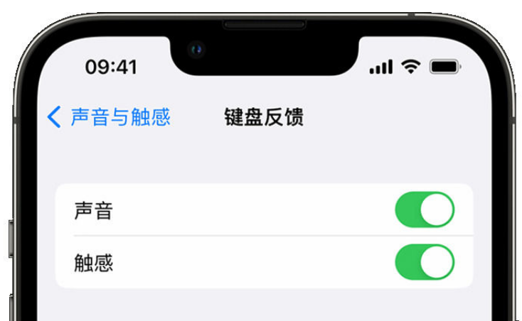 宛城苹果手机维修分享iPhone 14触感键盘使用方法 