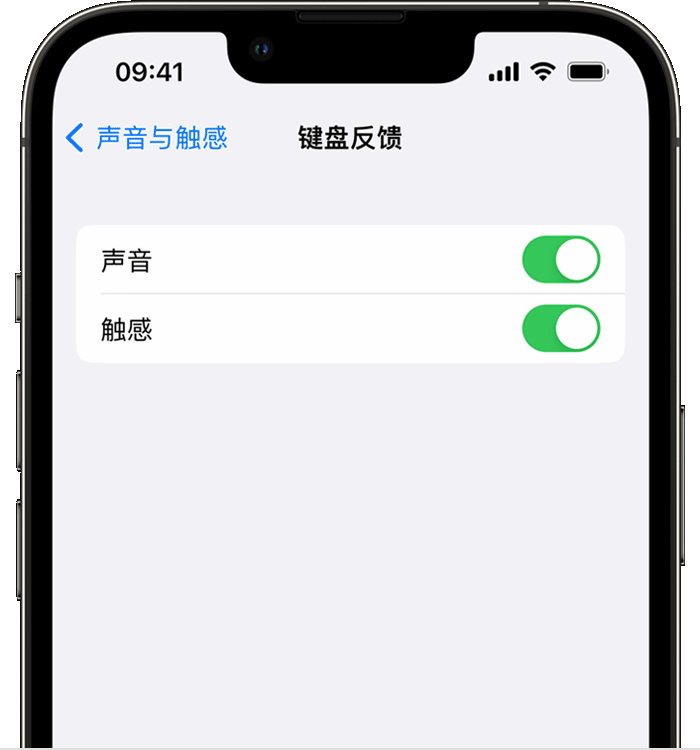 宛城苹果14维修店分享如何在 iPhone 14 机型中使用触感键盘 