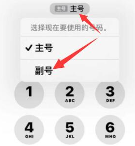 宛城苹果14维修店分享iPhone 14 Pro Max使用副卡打电话的方法 