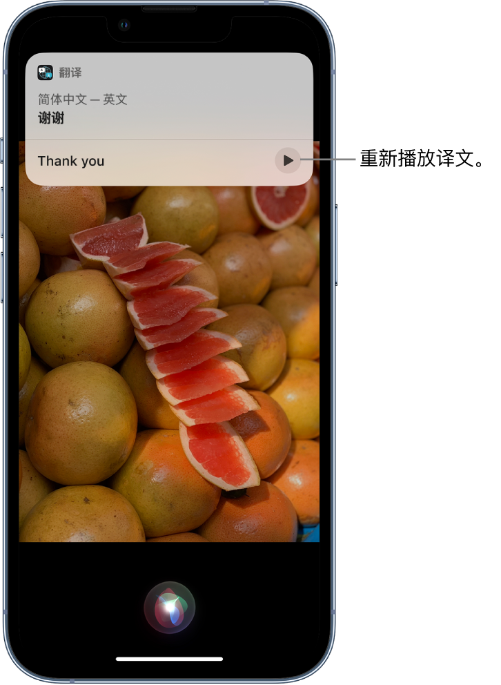 宛城苹果14维修分享 iPhone 14 机型中使用 Siri：了解 Siri 能帮你做什么 