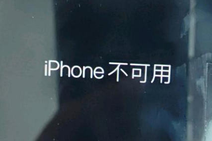 宛城苹果服务网点分享锁屏界面显示“iPhone 不可用”如何解决 