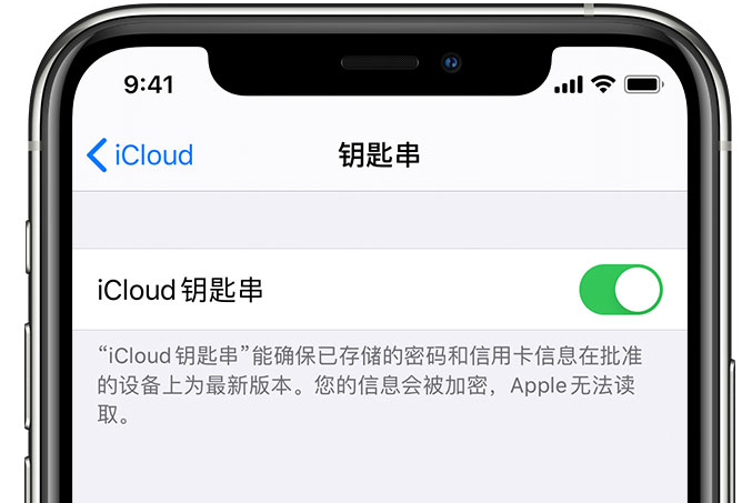 宛城苹果手机维修分享在 iPhone 上开启 iCloud 钥匙串之后会储存哪些信息 