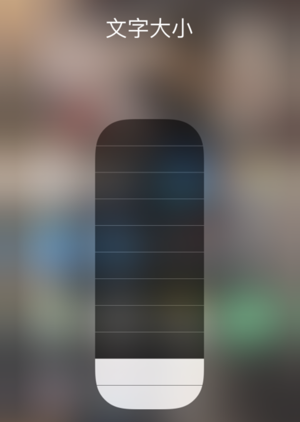 宛城苹果手机维修分享小技巧：在 iPhone 控制中心快速调节字体大小 