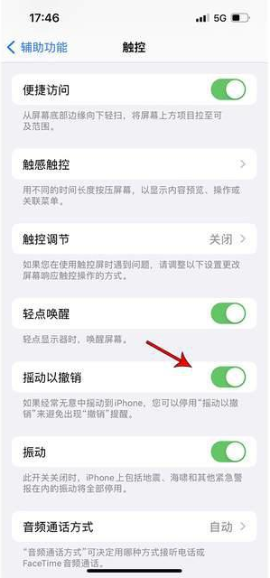 宛城苹果手机维修分享iPhone手机如何设置摇一摇删除文字 